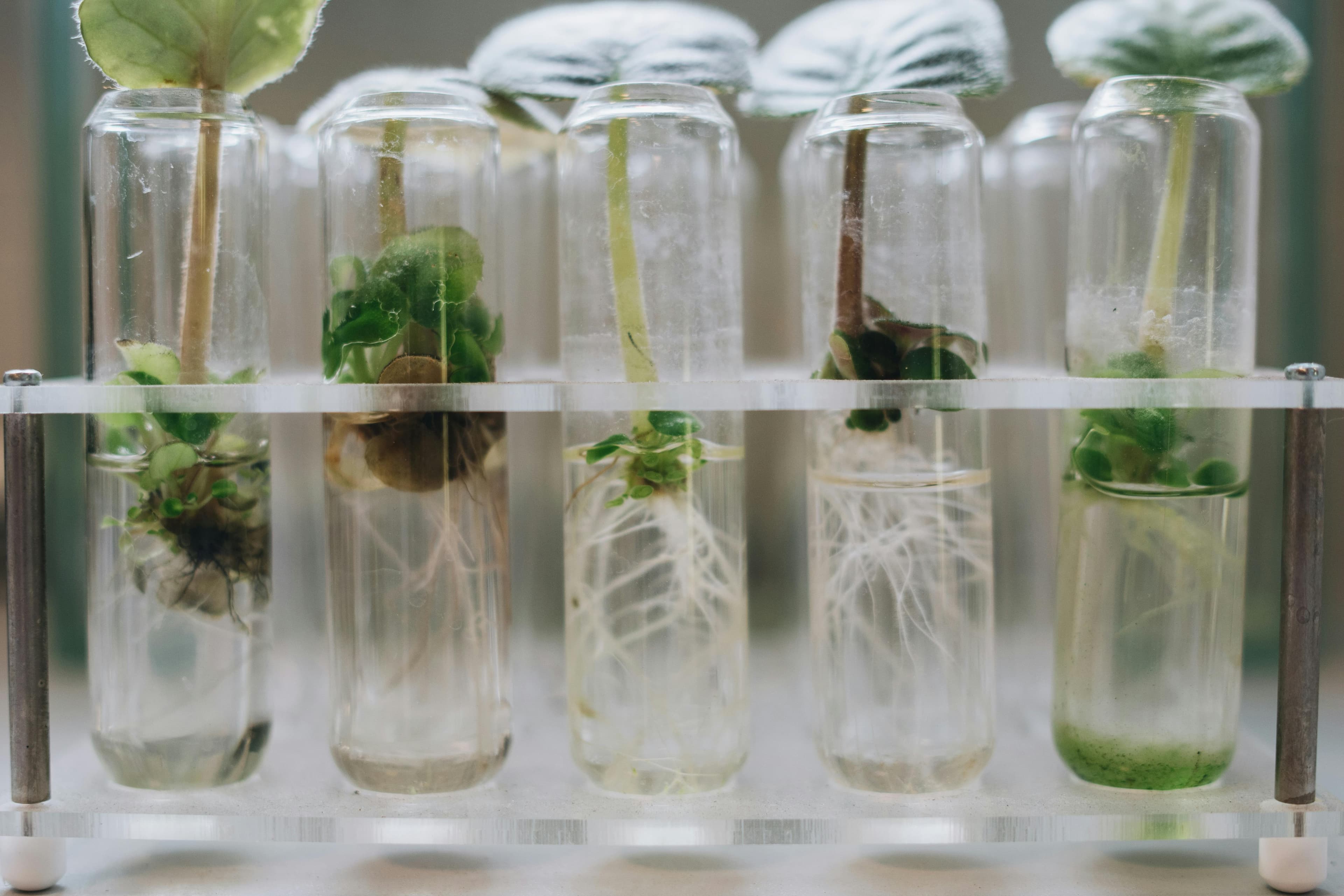Sustainability & Environmental Impact Toolkit